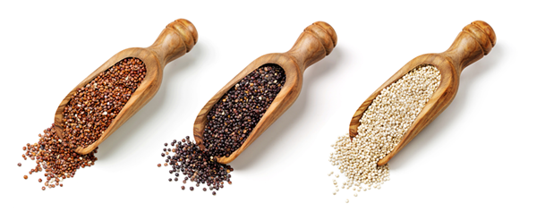 Red-black-and-white-quinoa-seeds-isolated-on-a-white-background_shutterstock_288608240-(1).png