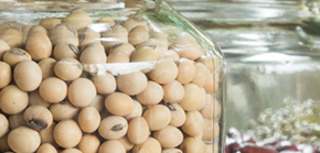 Legumes as a great and nutritious side dish